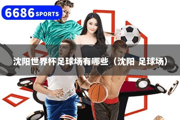 沈阳世界杯足球场有哪些（沈阳 足球场）