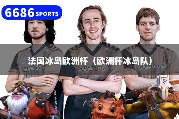 法国冰岛欧洲杯（欧洲杯冰岛队）